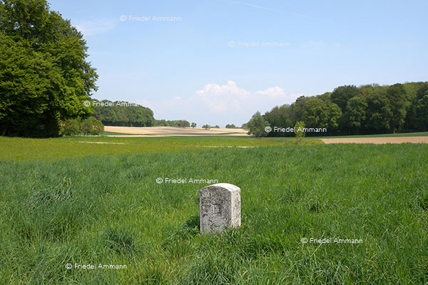 WIRTSCHAFT / ECONOMY - Landwirtschaft / Agriculture 