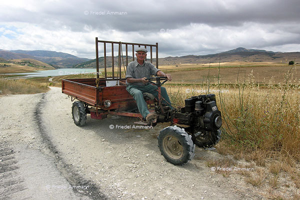 WIRTSCHAFT / ECONOMY - Landwirtschaft / Agriculture - Sizilien