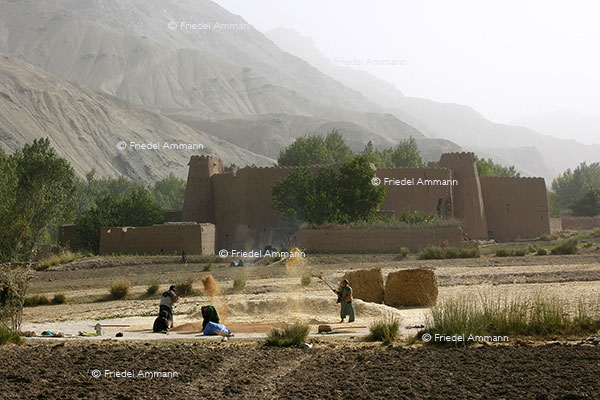 WIRTSCHAFT / ECONOMY - Landwirtschaft / Agriculture - Afghanistan