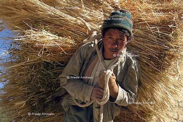 WIRTSCHAFT / ECONOMY - Landwirtschaft / Agriculture - Afghanistan