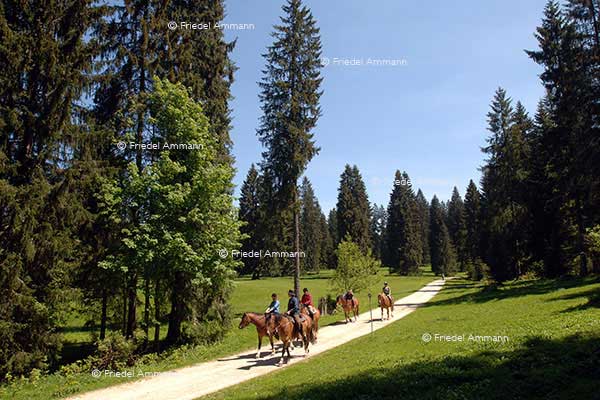 WIRTSCHAFT / ECONOMY - Business - Tourismus, Jura