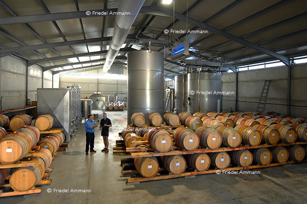 WIRTSCHAFT / ECONOMY - Business – Weinkellerei / Winery