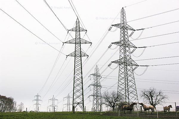 WIRTSCHAFT / ECONOMY - Energie / Environment 