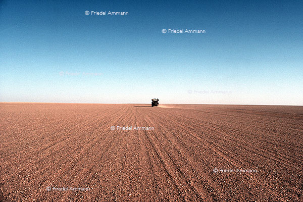 WIRTSCHAFT / ECONOMY - Energie / Environment - Sahara