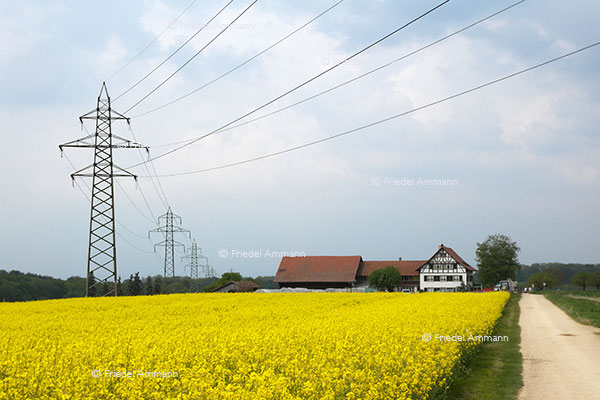 WIRTSCHAFT / ECONOMY - Energie / Environment 