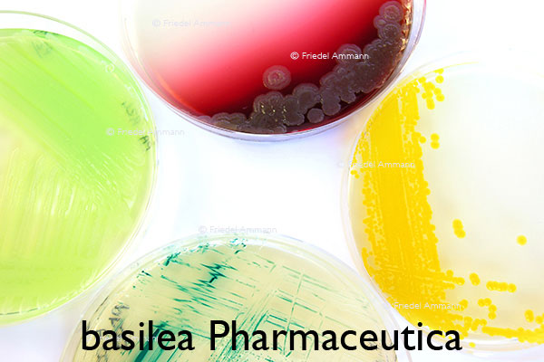WIRTSCHAFT / ECONOMY - Forschung / Research - basilea Pharmaceutica – Basel, Schweiz