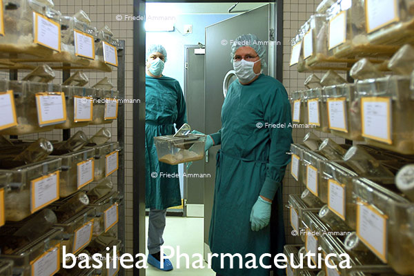 WIRTSCHAFT / ECONOMY - Forschung / Research - basilea Pharmaceutica – Basel, Schweiz