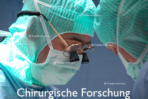 WIRTSCHAFT / ECONOMY - Forschung / Research 