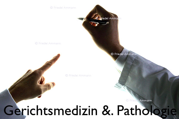 WIRTSCHAFT / ECONOMY - Forschung / Research - Röntgendiagnostik