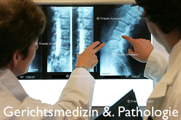 WIRTSCHAFT / ECONOMY - Forschung / Research - Röntgendiagnostik