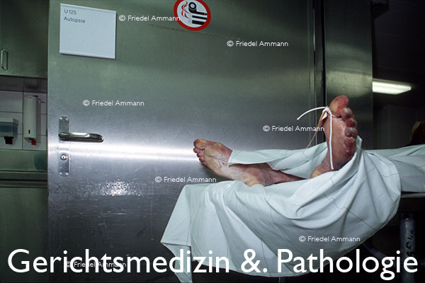 WIRTSCHAFT / ECONOMY - Forschung / Research - Rechtsmedizin &. Pathologie