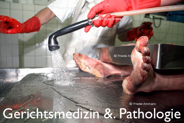 WIRTSCHAFT / ECONOMY - Forschung / Research - Rechtsmedizin &. Pathologie