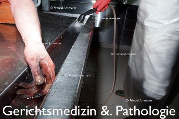 WIRTSCHAFT / ECONOMY - Forschung / Research - Rechtsmedizin &. Pathologie