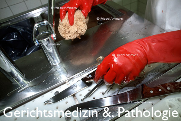 WIRTSCHAFT / ECONOMY - Forschung / Research - Rechtsmedizin &. Pathologie