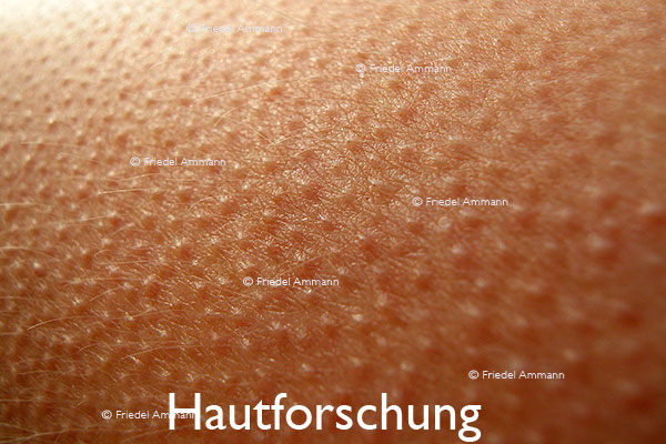 WIRTSCHAFT / ECONOMY - Forschung / Research – Hautforschung