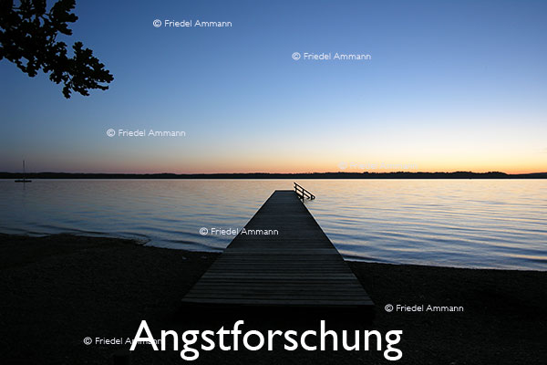 WIRTSCHAFT / ECONOMY - Forschung / Research – Angstforschung