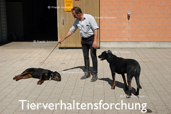 WIRTSCHAFT / ECONOMY - Forschung / Research – Tierverhaltensforschung
