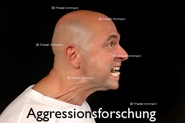 WIRTSCHAFT / ECONOMY - Forschung / Research – Aggressionsforschung