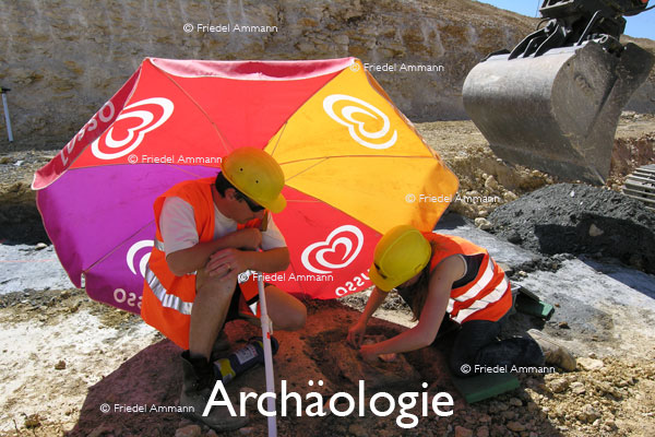 WIRTSCHAFT / ECONOMY - Forschung / Research – Archäologie