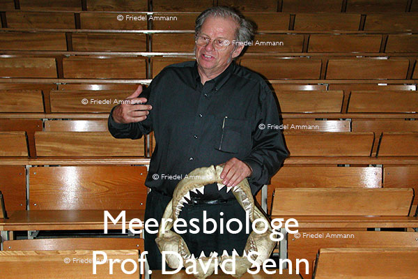 WIRTSCHAFT / ECONOMY - Forschung / Research – Meeresbiologie – Prof. David Senn