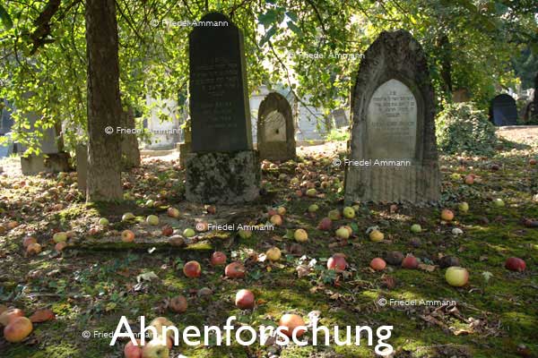 WIRTSCHAFT / ECONOMY - Forschung / Research – Ahnenforschung