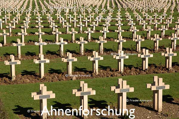 WIRTSCHAFT / ECONOMY - Forschung / Research – Ahnenforschung
