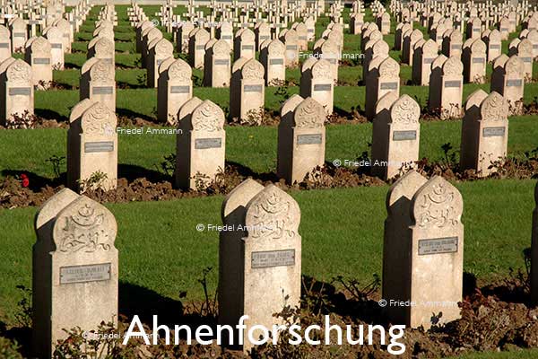 WIRTSCHAFT / ECONOMY - Forschung / Research – Ahnenforschung