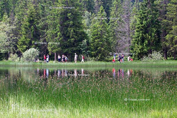 WIRTSCHAFT / ECONOMY - Tourismus Schweiz  - Jura
