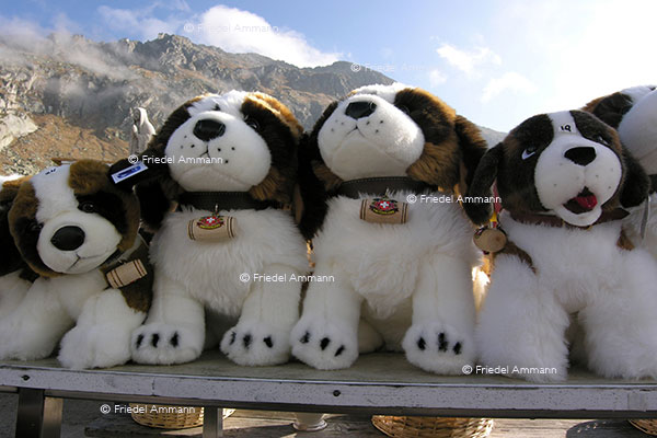 WIRTSCHAFT / ECONOMY - Tourismus Schweiz  - Grosser St Bernhard
