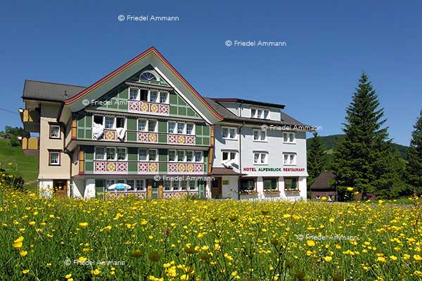 WIRTSCHAFT / ECONOMY - Tourismus Schweiz  - Appenzell