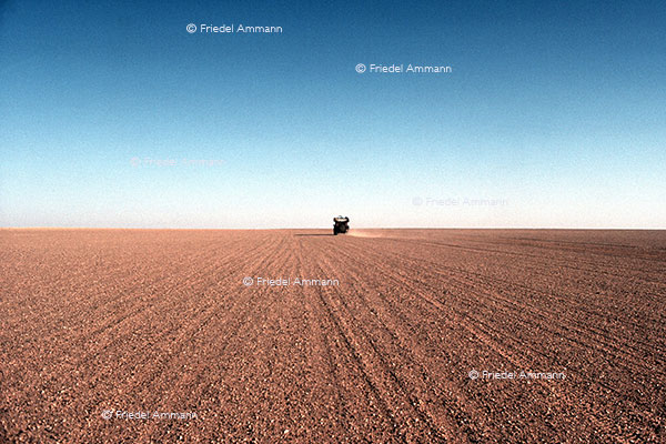 WIRTSCHAFT / ECONOMY - Tourismus international - Sahara