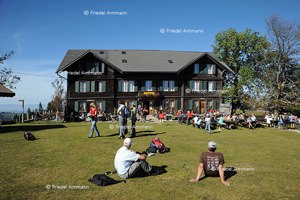 WIRTSCHAFT / ECONOMY - Hotellerie - Hotel Napf