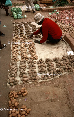 WIRTSCHAFT / ECONOMY - Handel / Retail - Malawi