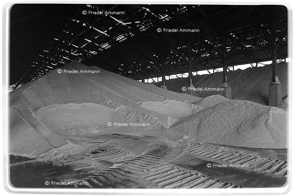 WIRTSCHAFT / ECONOMY - Industrie Brachen / Brownfield - Stillgelegte Kaligrube / Potash Mine Rudolph bei Pulversheim - Elsass, France