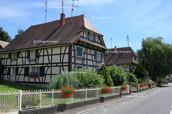 WIRTSCHAFT / ECONOMY - Immobilien / Real Estate - Sundgau, France