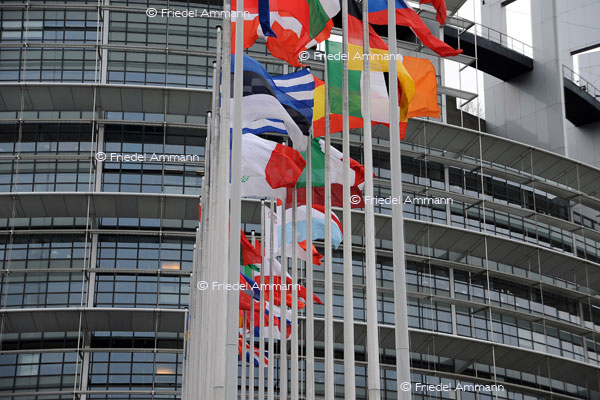 WIRTSCHAFT / ECONOMY - Kommunikation / Communication - Europäisches Parlament, Strasbourg, France