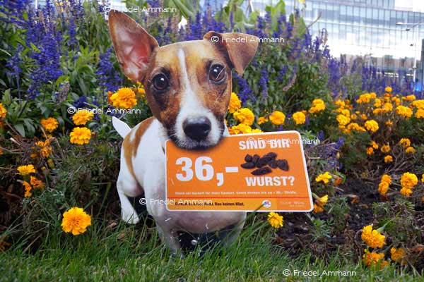 WIRTSCHAFT / ECONOMY – Werbung / Advertisement