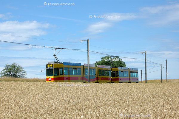 WIRTSCHAFT / ECONOMY - Mobilität / Mobility - Bahnen / Railway - BLT Tram zwischen Leymen (F) und Flüh, Baselland