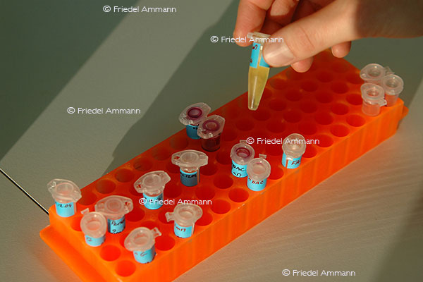 WIRTSCHAFT / ECONOMY - Pharma / Chemical Industry – Forschung / Research