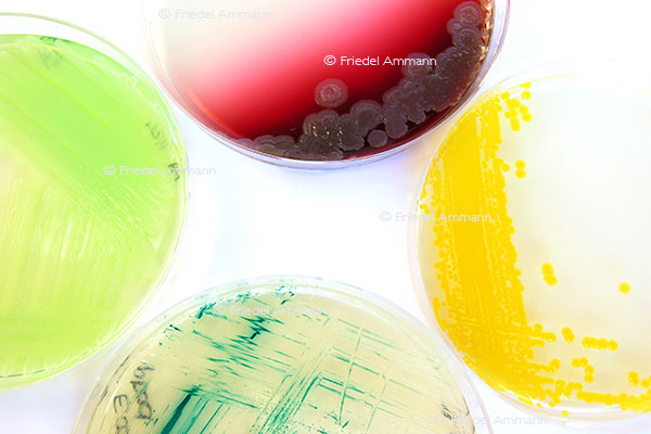 WIRTSCHAFT / ECONOMY - Pharma / Chemical Industry – Forschung / Research