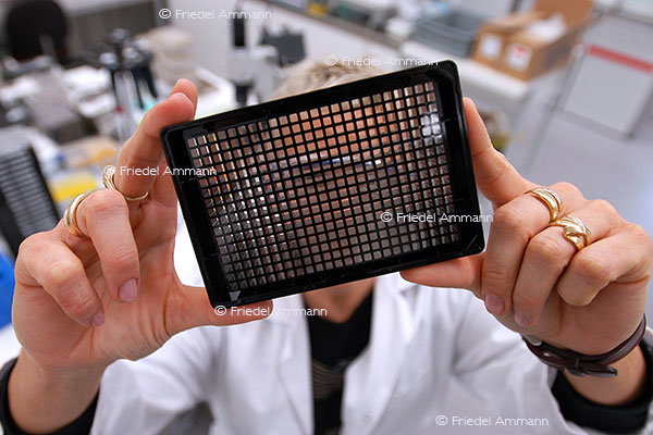 WIRTSCHAFT / ECONOMY - Pharma / Chemical Industry - Forschung / Research