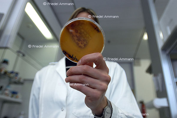 WIRTSCHAFT / ECONOMY - Pharma / Chemical Industry - Forschung / Research