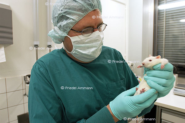 WIRTSCHAFT / ECONOMY - Pharma / Chemical Industry – Tierversuche / Animal Experiments