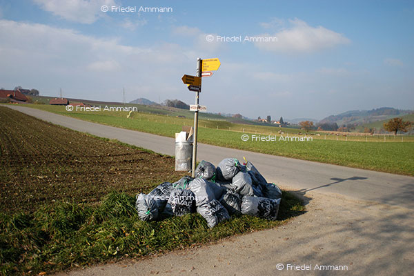 WIRTSCHAFT / ECONOMY - Abfall, Recycling – Müllabfuhr / Waste Disposal