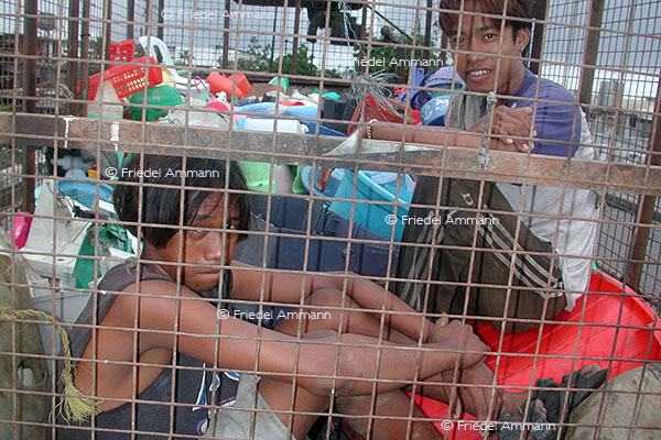WIRTSCHAFT / ECONOMY - Armut / Poverty – Müllsammler /  «Scavenger» - Smokey Mountain - Metro Manila, Philippinen