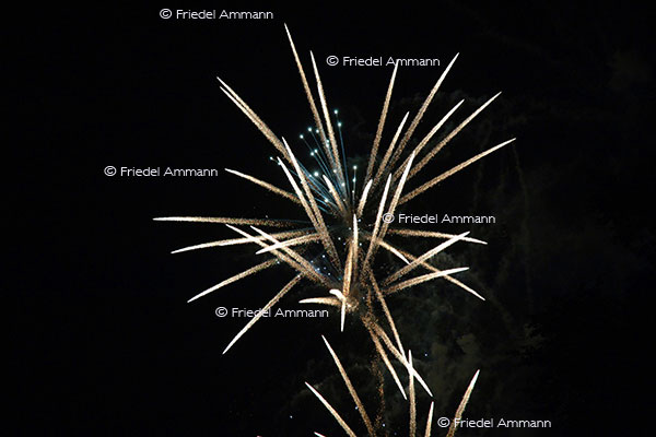 WIRTSCHAFT / ECONOMY - Luxus / Luxury – Feuerwerk / Firework