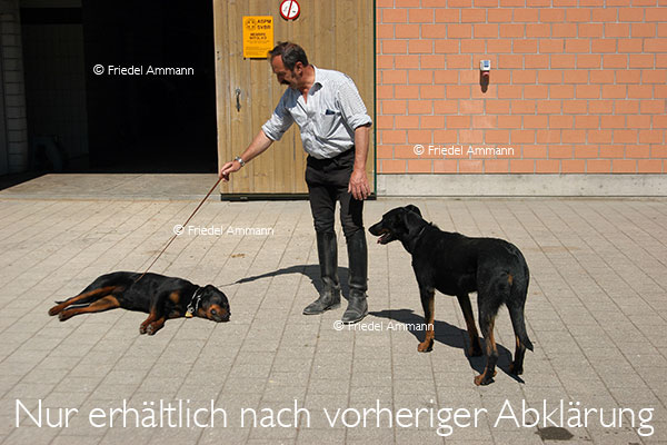 WISSEN - Spielen, Lernen