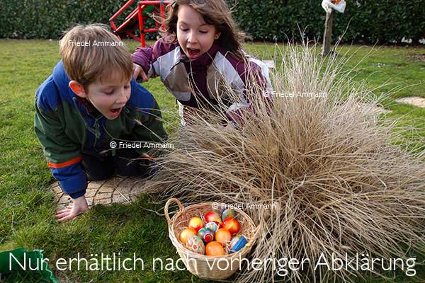WISSEN - Spielen, Lernen