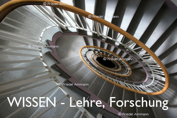 WISSEN - Lehre, Angst-Forschung