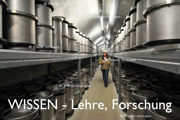 WISSEN - Lehre, Forschung